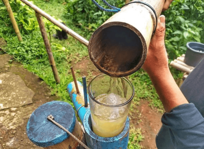 Proses pengolahan nira aren menjadi bioetanol energi terbarukan