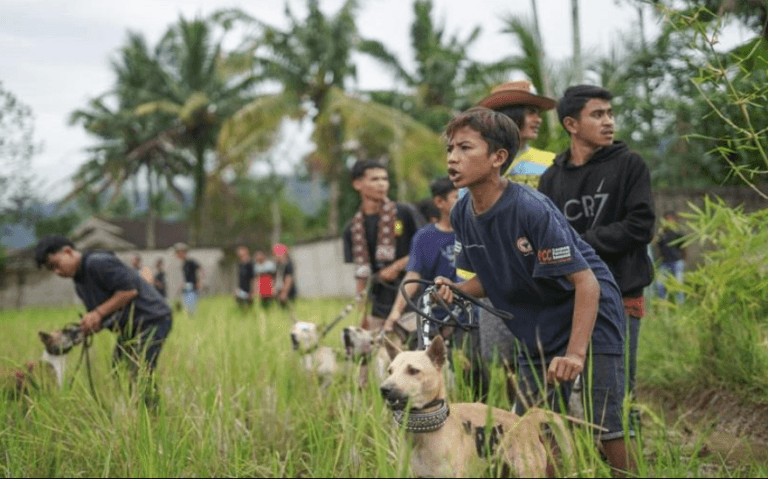 Pemburu Babi Sumbar
