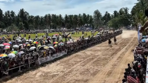 Suasana Keramaian Pacu Kudo Padang Pariaman 2026 di Galanggang Paguah Duku