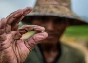 Negara yang Katanya Kaya, Tapi Warganya Terus Bertanya
