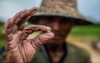 Negara yang Katanya Kaya, Tapi Warganya Terus Bertanya