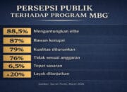 survey mbg